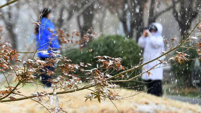 Une vague de froid balaie la Chine continentale : les températures chutent de plus de 12°C