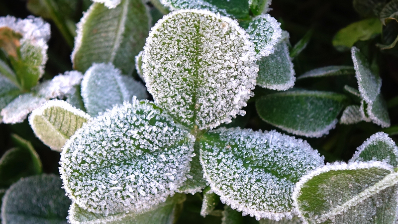 Vague de froid déclenche des alertes bleues et la première neige de la saison dans le nord de la Chine continentale