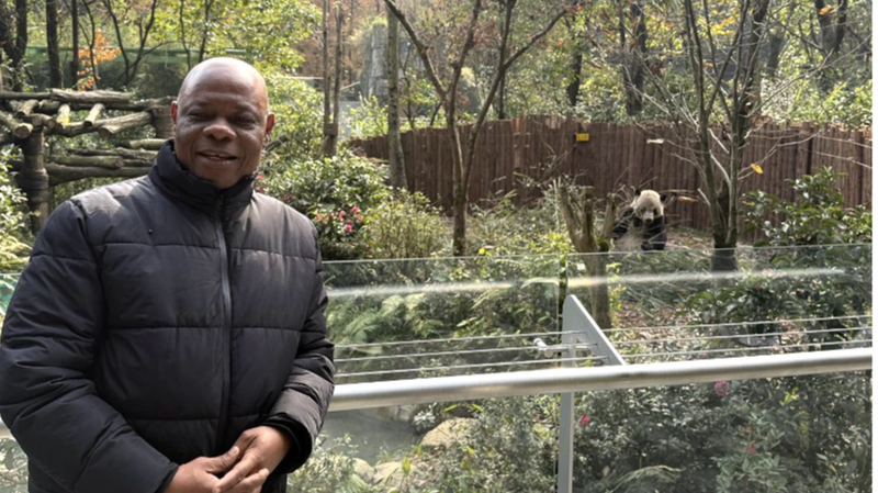 Explorer les efforts de conservation du panda géant et de biodiversité de la Chine