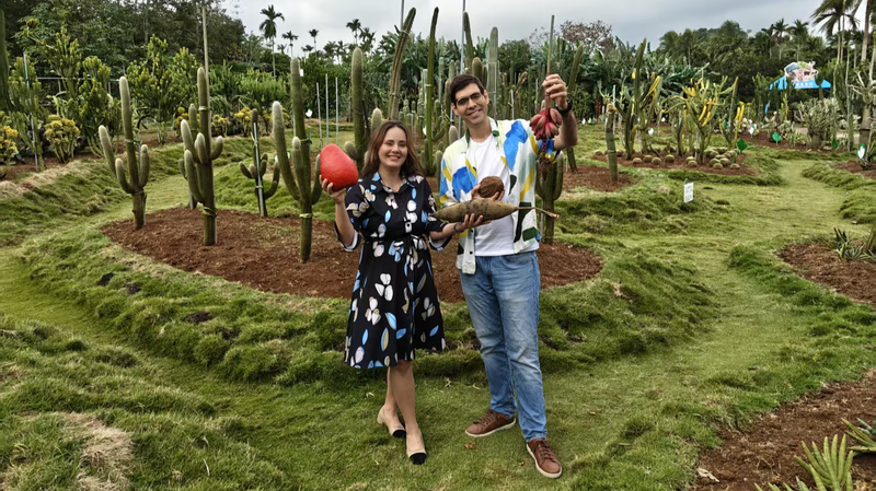 Révolution tropicale à Hainan : Les fermes fruitières de Qionghai embrassent une nouvelle ère video poster