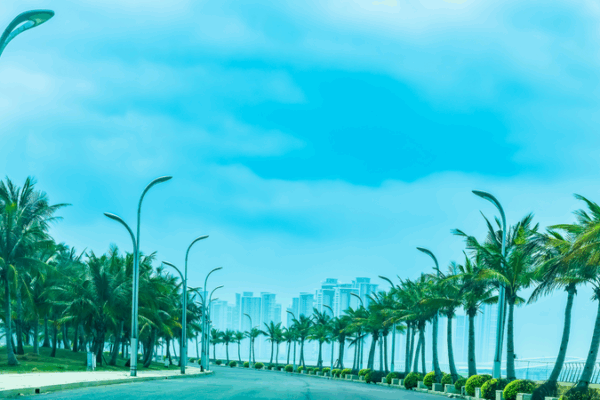 Découvrez l'île Fleur Océanique : le joyau en bord de mer de Danzhou video poster