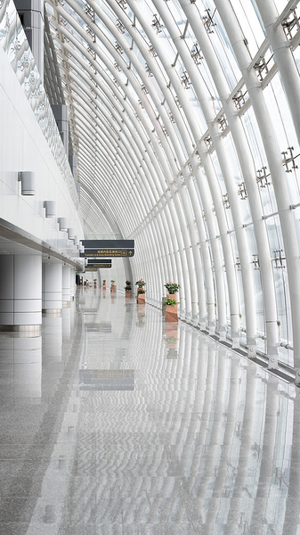 Forte_baisse_des_vols_en_provenance_de_la_Chine_continentale_frappe_le_tourisme_japonais video poster