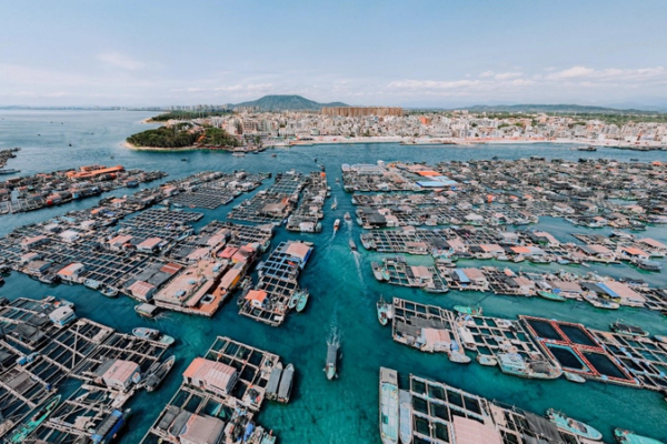 Labyrinthe flottant : À la découverte du village Tanka de 500 ans à Hainan