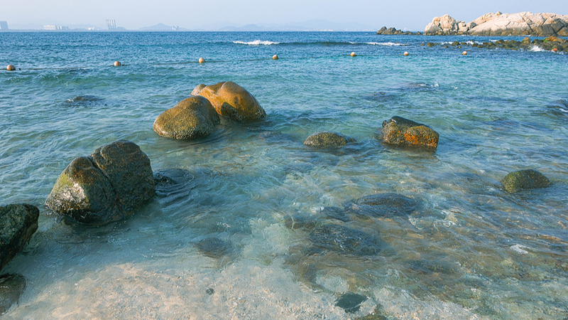 La renaissance verte de l'île de Wuzhizhou : récifs coralliens et tourisme unis