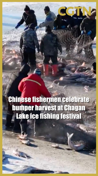 Le Festival de pêche sur glace du lac Chagan rapporte une prise rouge de 50 tonnes video poster