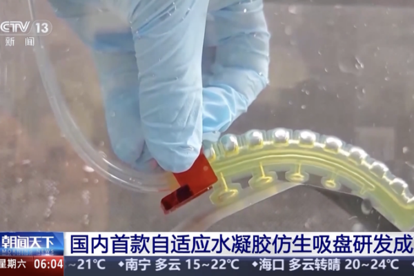 Des chercheurs du continent chinois pionniers du disque de succion hydrogel adaptatif pour la préhension sous-marine