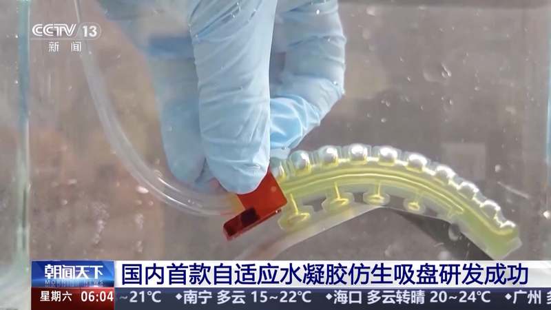 Des chercheurs du continent chinois pionniers du disque de succion hydrogel adaptatif pour la préhension sous-marine
