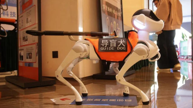 Shenzhen alimente les Jeux 2025 avec la technologie et l'énergie verte