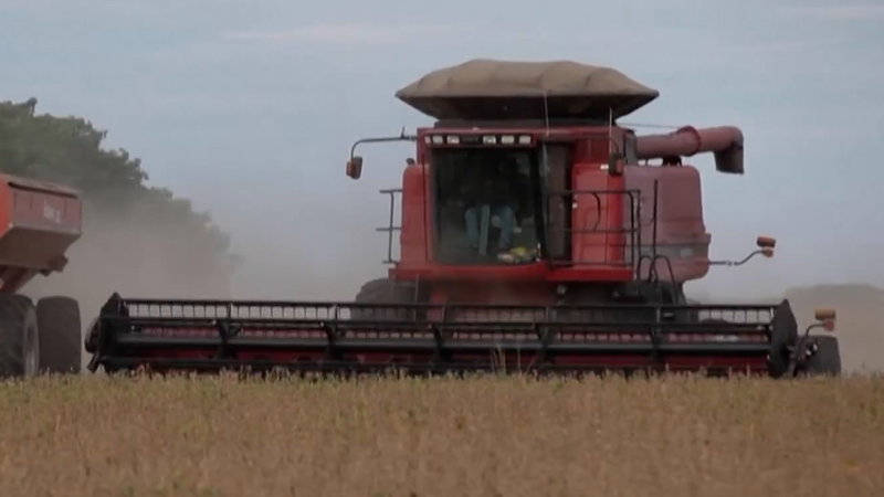 Trump dévoile un plan d'aide de 12 milliards de dollars pour soutenir les agriculteurs video poster