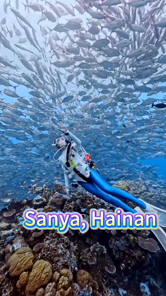 Plongez_dans_le_paradis_sous_marin_de_Sanya video poster