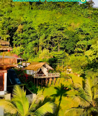 Aventure de camping en forêt à Baihualing, Hainan video poster