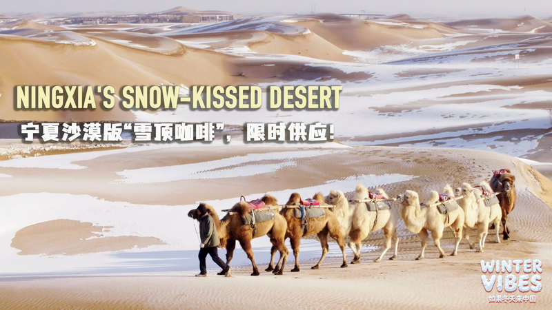 Quand le désert rencontre la neige : le pays des merveilles hivernal du Ningxia video poster