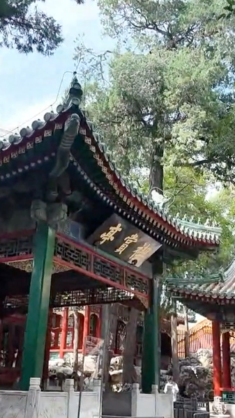 Le Jardin Qianlong ouvre après 100 ans d'attente dans la Cité Interdite video poster