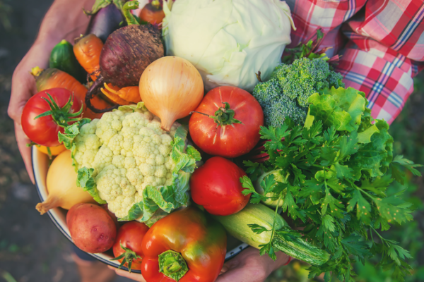 CSSC dévoile une ferme intelligente à bord pour des produits frais toute l'année