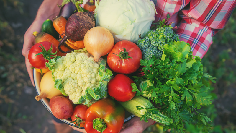 CSSC dévoile une ferme intelligente à bord pour des produits frais toute l'année