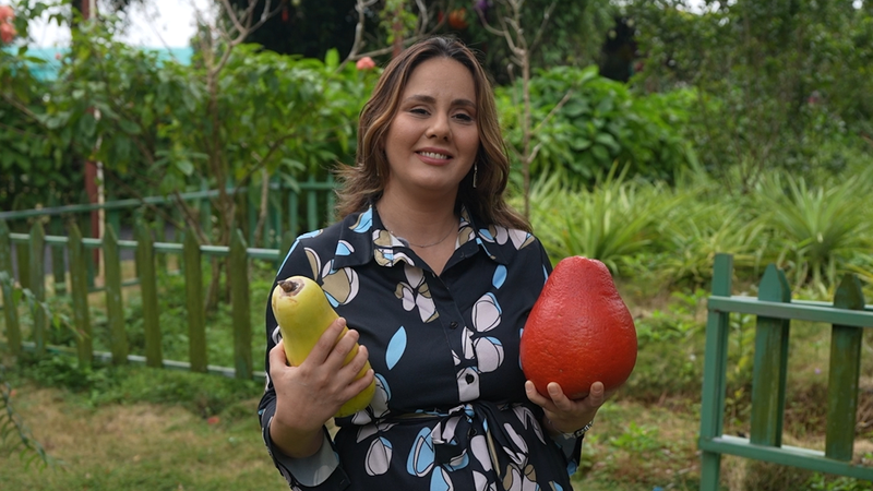 Révolution tropicale de Hainan : Les fruits et l'innovation à l'échelle mondiale video poster