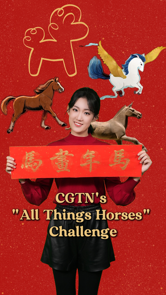 CGTN lance le défi 'Tout sur les Chevaux' pour l'Année du Cheval video poster
