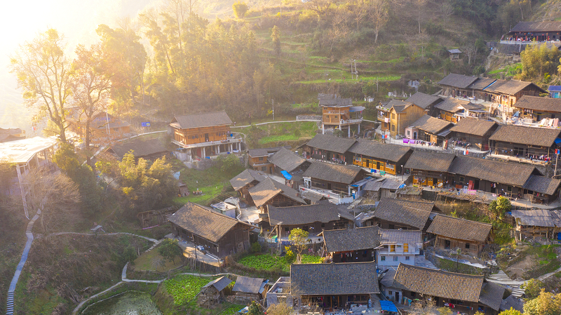 Pourquoi la sagesse chinoise ancienne inspire une vie lente dans un monde au rythme effréné