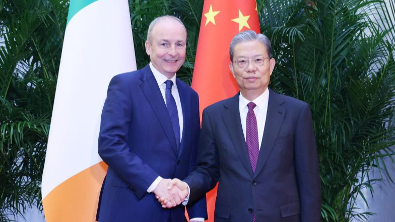 Le principal législateur chinois rencontre le Taoiseach d'Irlande pour renforcer les liens stratégiques