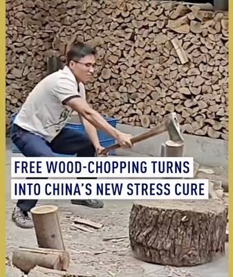 Centre de Bûcheronnage Gratuit du Zhejiang : Le Nouveau Remède Anti-Stress En Vue de Chine video poster