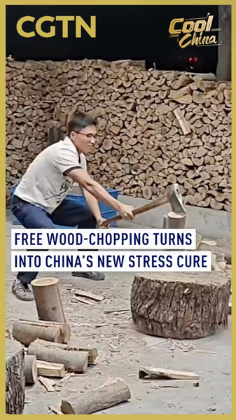 Centre de Bûcheronnage Gratuit du Zhejiang : Le Nouveau Remède Anti-Stress En Vue de Chine video poster