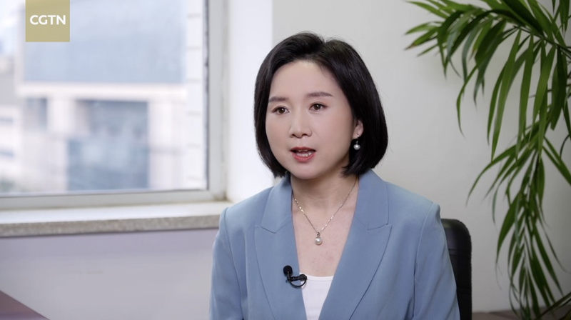 La Chine intensifie les investissements bilatéraux avec les partenaires de la Ceinture et la Route video poster