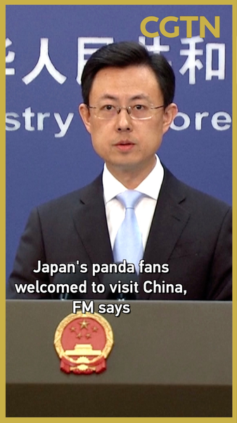 La_Chine_Accueille_les_Fans_de_Pandas_Japonais_avant_le_Retour_de_Xiao_Xiao_et_Lei_Lei video poster