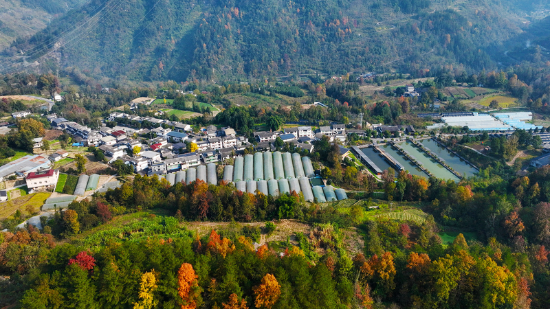 La_croissance_industrielle_ancre_la_revitalisation_rurale