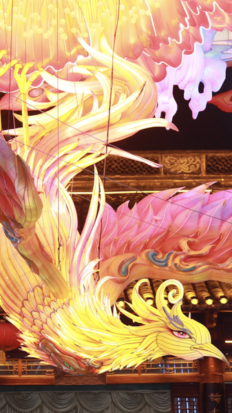 La_magie_des_lanternes_au_Temple_Confucius_de_Nanjing video poster