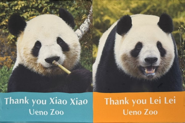 Les_pandas_jumeaux_font_leurs_adieux_au_Zoo_d_Ueno_avant_de_retourner_en_Chine