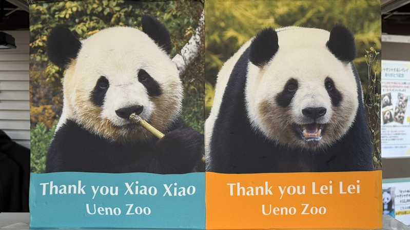 Les_pandas_jumeaux_font_leurs_adieux_au_Zoo_d_Ueno_avant_de_retourner_en_Chine