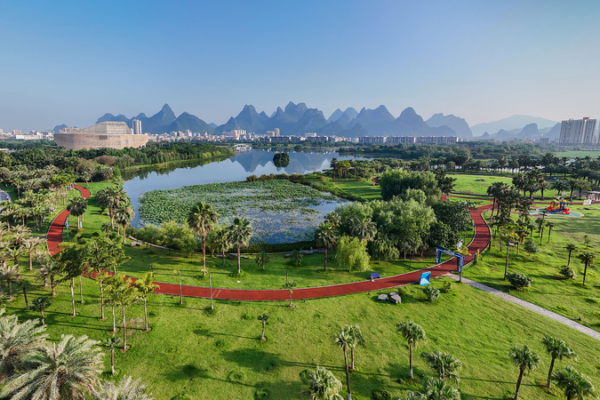 L'initiative de verdissement de la Chine pour 2025 : Plus de 8 millions d'hectares transformés