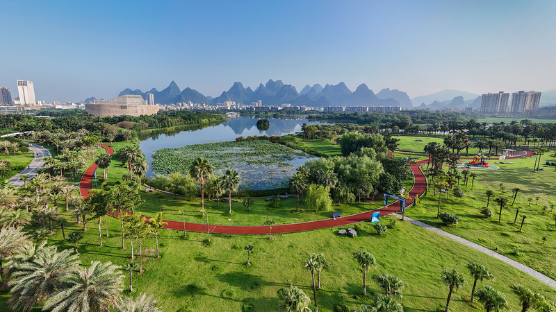 L'initiative de verdissement de la Chine pour 2025 : Plus de 8 millions d'hectares transformés