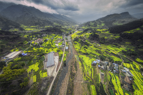 Printemps_en_hiver___Les_champs_de_colza_du_Sichuan_fleurissent video poster