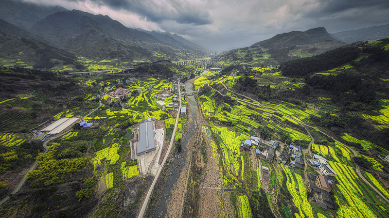 Printemps_en_hiver___Les_champs_de_colza_du_Sichuan_fleurissent video poster