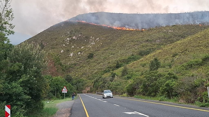 Des équipes de pompiers combattent des éruptions dans les vignobles du Cap-Occidental