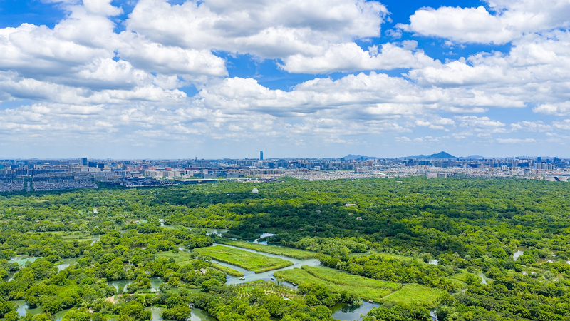 L'ONU nomme Hangzhou parmi les 20 meilleures villes zéro déchet