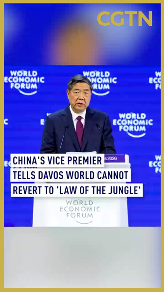 Vice-premier He Lifeng à Davos : Pas de retour à la 'loi de la jungle' video poster