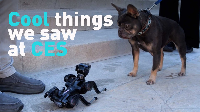 Points forts du CES 2026 : Les trouvailles préférées de Mark Niu video poster