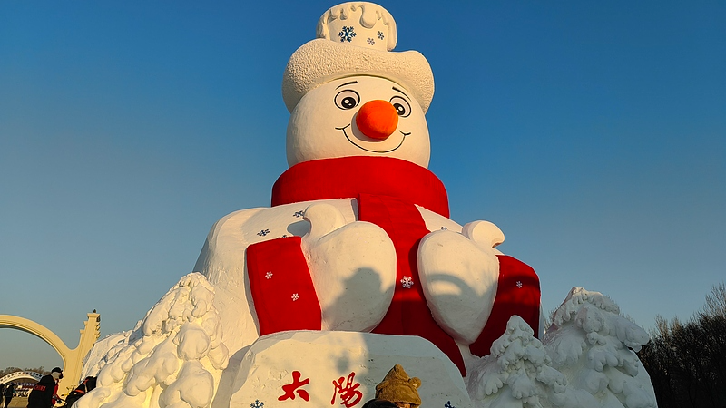 Les sculptures de neige emblématiques de Harbin déclenchent la magie du Nouvel An video poster