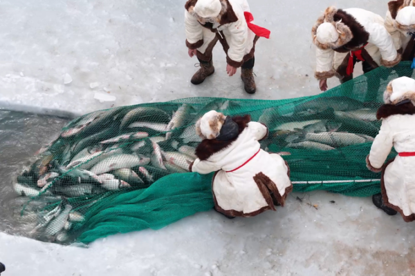 Festival de Pêche d'Hiver du Lac Bosten : Tradition et Plaisir Neigeux video poster