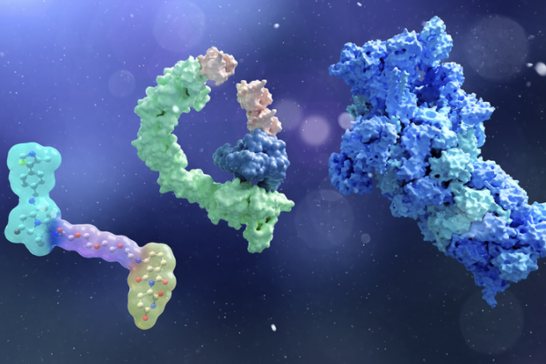 Outil révolutionnaire SupTACs permet une dégradation protéique précise